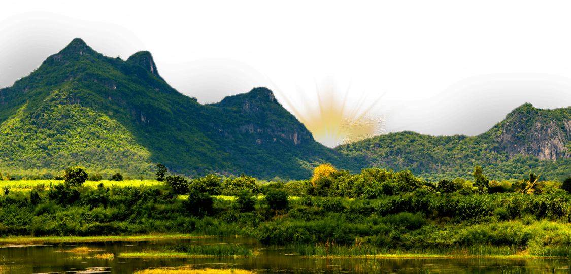 Footer Background