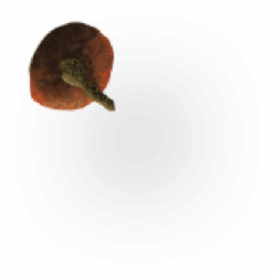 Background Assets